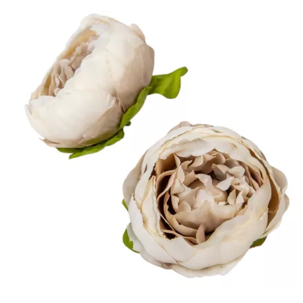 Peónia virágfej 9cm cappuccino 4 darabos csomagban rendelhető (darab ár!)