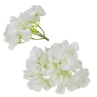 Hortenzia virágfej fehér 12cm