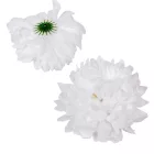 Krizantém virágfej fehér 13cm