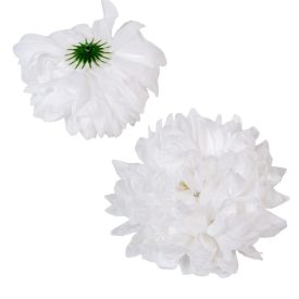 Krizantém virágfej fehér 13cm Krizantém virágfej fehér 13cm