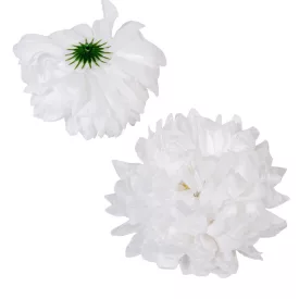 Krizantém virágfej fehér 13cm