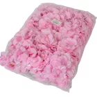 Hortenzia virágfej D15cm sötét rózsaszín 12db/csom