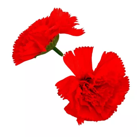 Szegfű virágfej D6cm 24db/csom