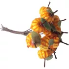 Mini tök pick 10cm 12db-os csokor