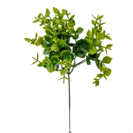 Leveles pick  25cm