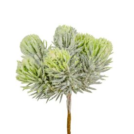 Fenyő pick 15cm Fenyő pick 15cm