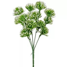 Kövirózsa szálas 5 ágú 27cm