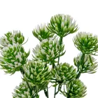 Kövirózsa szálas 5 ágú 27cm