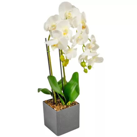Orchidea cserepes gumi fehér 55cm