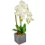 Orchidea cserepes gumi fehér 55cm