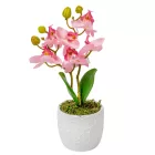Orchidea cserepes gumi 2 ágú világos rózsaszín 28cm
