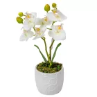 Orchidea cserepes gumi 2 ágú fehér 28cm