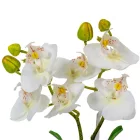 Orchidea cserepes gumi 2 ágú fehér 28cm