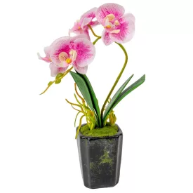 Orchidea cserepes gumi rózsaszín cirkás 28cm