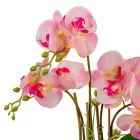 Orchidea cserepes gumi 4 ágú rózsaszín 50cm