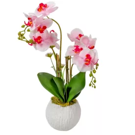 Orchidea cserepes gumi 4 ágú fehér-rózsaszín 50cm