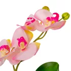 Orchidea cserepes gumi rózsaszín 33cm