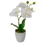 Orchidea cserepes gumi fehér 33cm