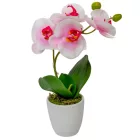 Orchidea cserepes gumi fehér-rózsaszín 33cm
