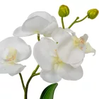 Orchidea cserepes gumi fehér 33cm