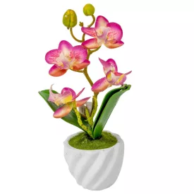 Orchidea cserepes gumi krém-lila 21cm