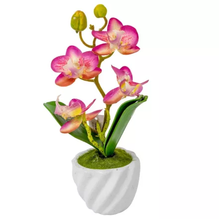 Orchidea cserepes gumi krém-lila 21cm