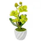 Orchidea cserepes gumi zöld 21cm