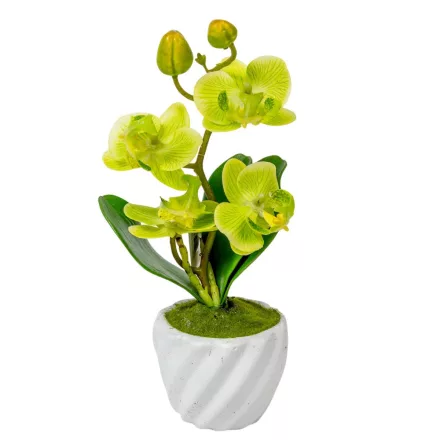 Orchidea cserepes gumi zöld 21cm