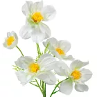 Pipacs ág fehér 5 virágos 90cm