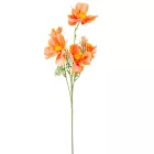 Pipacs ág narancssárga 5 virágos 90cm