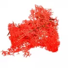 Moha finn piros 50gr