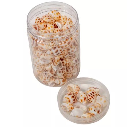 Kagyló natúr csigaház 220g 