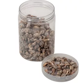 Kagyló barna-szürke 250g