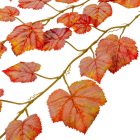 Szőlő leveles őszi futó 120cm
