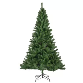 Fenyőfa Monarch pine M210cm