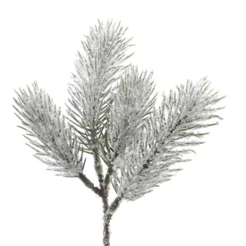 Havas fenyő ág 21cm