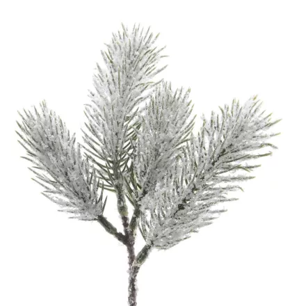Havas fenyő ág 21cm