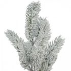 Havas fenyő ág 36cm