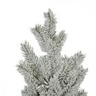 Fenyő ág 66cm