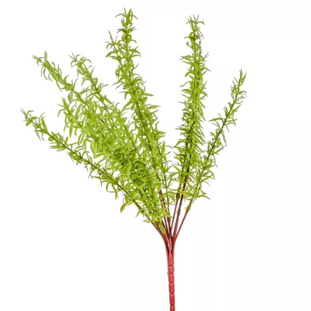 Zöld bokor 13 ágú 47cm