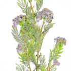 Díszítő ág lila 94cm