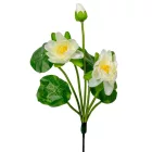 Tavirózsa csokor fehér 3 virágos 37cm