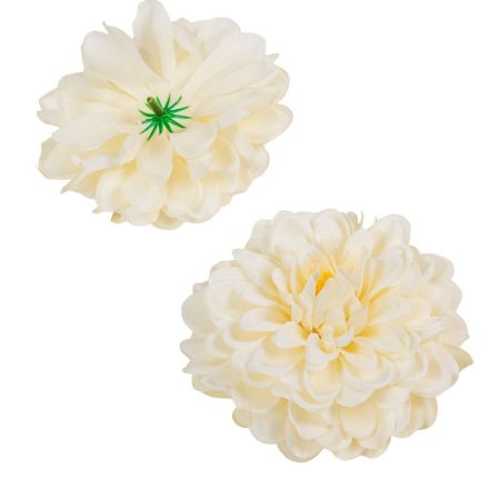 Dália virágfej krém D10cm 12db/csom