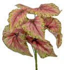 Leveles bokor 9 ágú 30cm                       