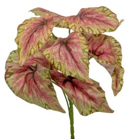 Leveles bokor 9 ágú 30cm                       