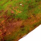 Dekor futó 150x35cm
