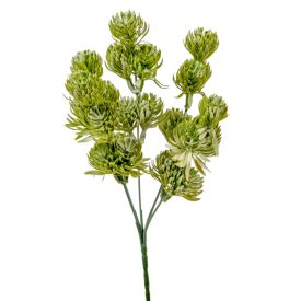 Komló bokor 5 ágú 30cm