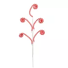 Zsenília cukorkabot ág 50cm