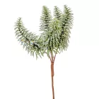 Fenyős pick glitteres 24cm