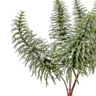 Fenyős pick glitteres 24cm